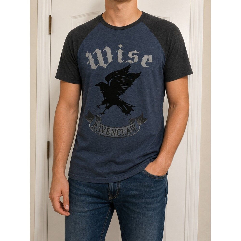 Harry Potter Ravenclaw Graphic Raglan T-Shirt Men's Large Blue Gray Universal